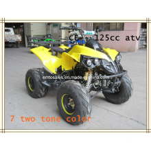 Scheibenbremse ATV, 125CC ATV (ET-ATV048)